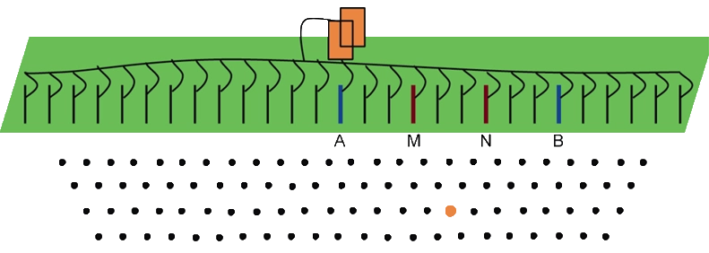 图片1.webp
